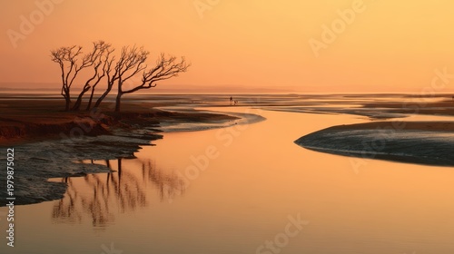 Serene Sunset Over Quiet Waters with Silhouetted Trees in Nature