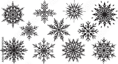 Collection of unique black snowflakes on white background illustration
