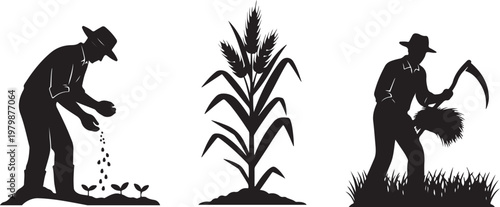 Farmers planting and harvesting crops in a field silhouette