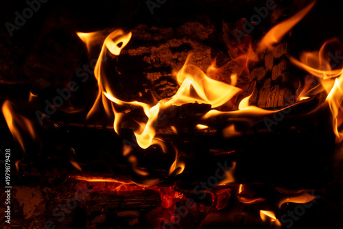 Картината върху платно Extreme close up of wood burning in an outdoor fire pit at night