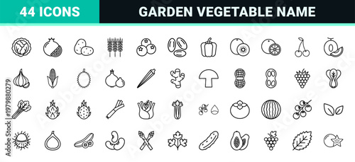 Minimalist fruit and vegetable line icon grid set.