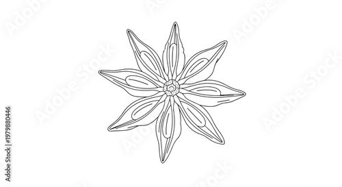 Simple black and white line art illustration of a single star anise spice pod isolated on a white background.