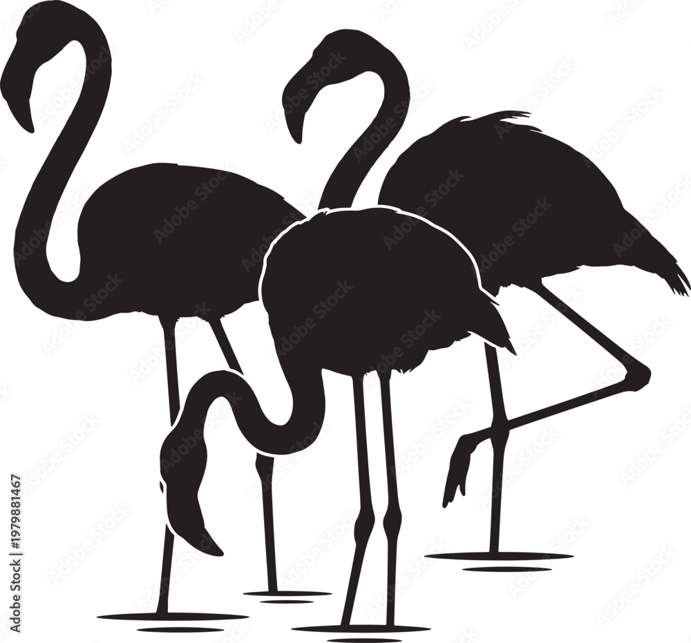 Naklejka premium black silhouette of three flamingos standing in water