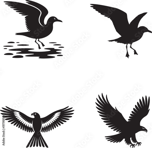 black silhouette of birds flying and standing on ground