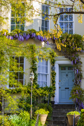 old house in the garden