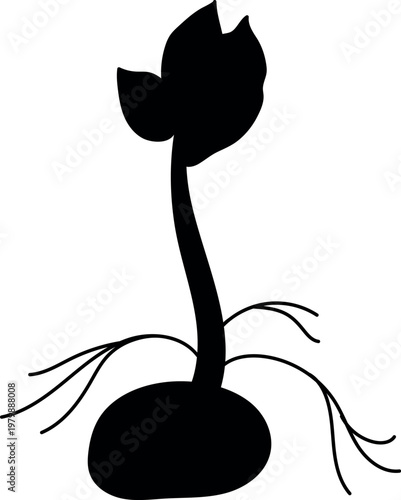 Black silhouette of a potato plant growing from a seed tuber with developing roots and sprout