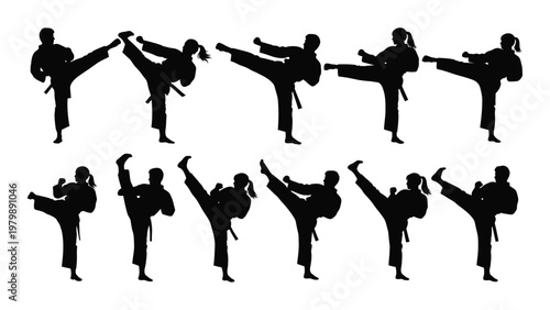 A collection of black silhouettes depicting diverse martial arts poses showcasing dynamic kicks and fighting stances high quality professional detailed modern