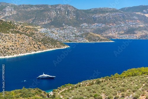 A panoramic scene with deep blue sea, rugged hills, and rows of olive trees. ...