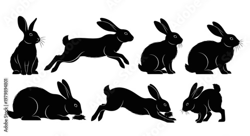 Silhouettes of rabbits in various poses.