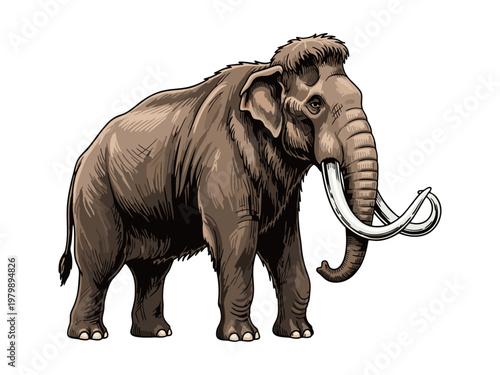 Foto Woolly Mammoth Prehistoric Elephant Illustration