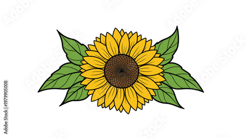 Beautiful sunflower illustration with large green leaves on both sides on a clean white background for botanical and floral themes.