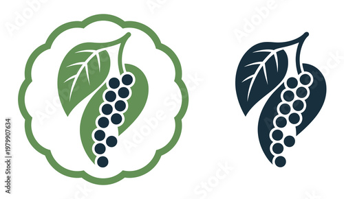 Black Pepper Icons Spice Piperine Seasoning Food Ingredient Cooking Flavor Vector Illustration Design Isolated Background