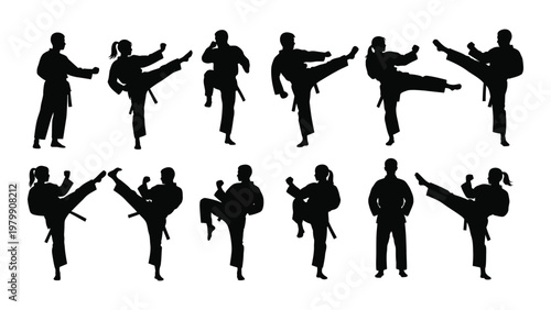 A collection of silhouettes depicts individuals performing various martial arts kicks and stances showcasing dynamic movement high quality professional detailed modern