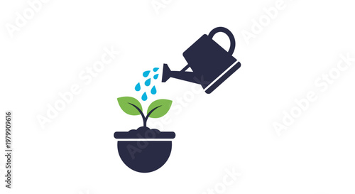 Watering a small green plant.