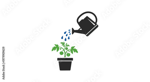 Watering Can Pouring on Green Plant.