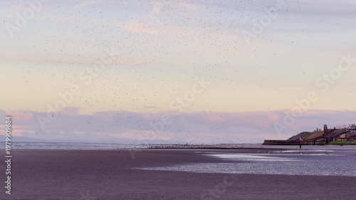  A Swarm of birds at nigt, at the beach of Blackpool, UK.