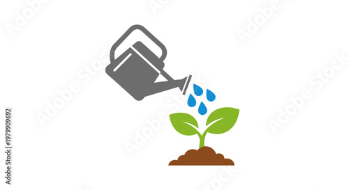Watering can pouring water on seedling.