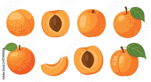 Complete collection of fresh orange apricots shown whole and sliced into halves and pieces for food and fruit concept.