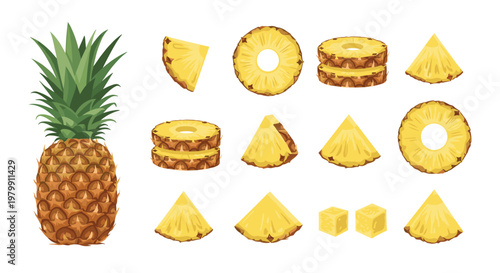 Whole pineapple with fresh green leaves and various slices in rings, chunks, and cubes for tropical fruit concept.