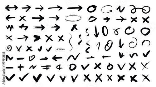 Vintage tropical illustration featuring palms waves a boat and floral elements