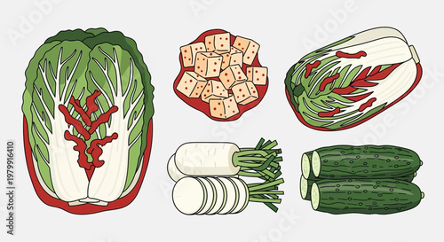 Korean Kimchi Ingredients: Cabbage, Radish, Cucumber, Spices