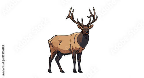 Majestic Elk Stag with Antlers, Wildlife Illustration