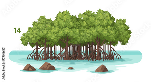 Mangrove forest illustration, aerial roots in water, tropical ecosystem