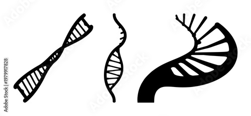 DNA strand set with black silhouette against white background featuring molecular, genetic, biology with line art and illustration