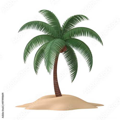 A lone palm tree standing on sandy ground isolated on transparent background