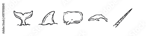 Marine Life and Whale Icons, Nautical Sketch Style
