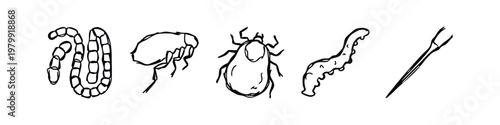 Drawn insects and parasites, vector icons