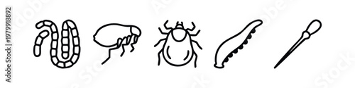 Line art insects and parasites, medical illustration