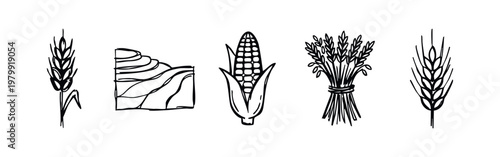 Agriculture Icons (Sketch): Wheat, Terraces, Corn, Sheaf, Wheat