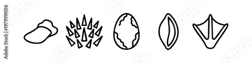 Dinosaur and Egg Icons (Clean Lines): Footprint, Spikes, Egg, Leaf, Feather