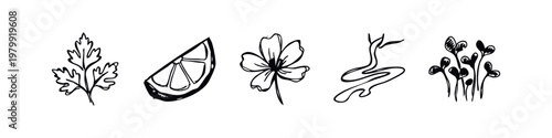 Set of 5 doodle icons: parsley leaf, lemon slice, flower, wavy line, sprouts.