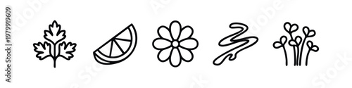 Set of 5 minimalist line art icons: parsley leaf, lemon slice, flower, wavy line, sprouts.
