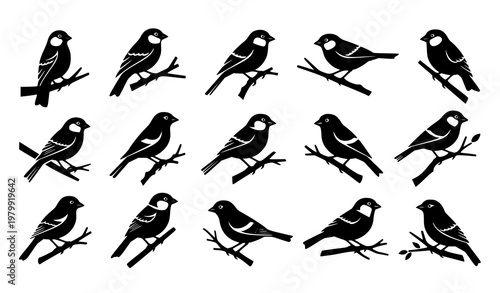 Small Bird Silhouette on Branch – Sparrow Canary Logo Vector