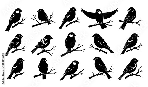 Minimal Songbird Silhouette – Sparrow Canary Branch Logo Vector