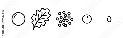 Icon Set: Sphere, Cluster, DNA, Beaker, Dropper
