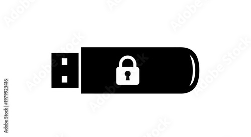 A black USB flash drive with a white lock icon on a plain white background