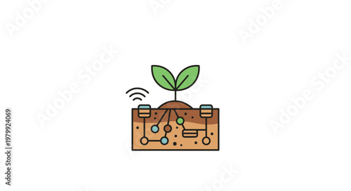 Small green plant growing in soil.