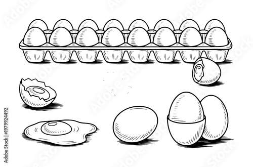 Hand-drawn egg collection: carton, whole, cracked, and fried eggs white background