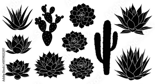 Black Silhouette Succulent & Cactus Plant Collection Vector Art