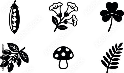 Pea pod morning glory clover berries mushroom and fern leaf