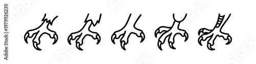 Minimalist Line Art Bird Claws and Predator Talon Icon Set