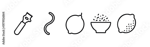 Lemon Zest and Culinary Citrus Elements Minimalist Line Art Icons