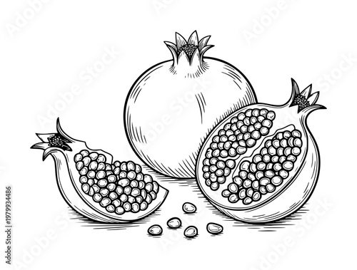 Schilderij op canvas Hand-drawn black and white of whole and cut pomegranates with seeds white backgr