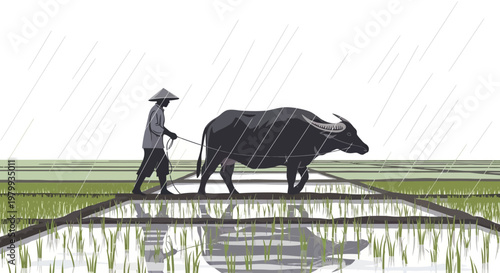 During Grain Rain, a farmer guides an ox plowing flooded rice paddies, depicted in a flat vector illustration, exhibiting spring agriculture in China with a traditional aesthetic