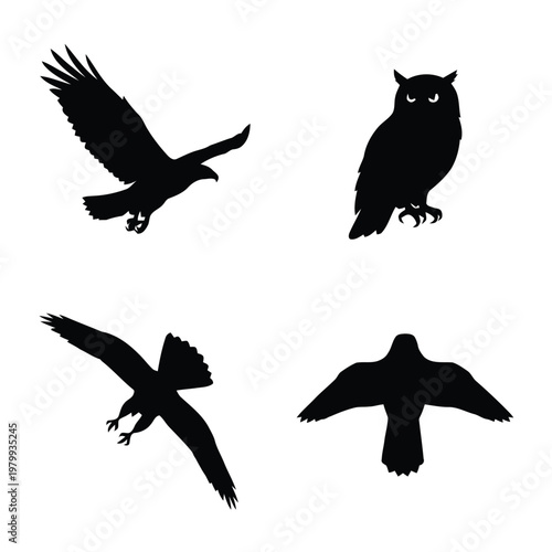 Black silhouettes of various birds including an eagle in flight, a perched owl, and other birds of prey, isolated on a white background.