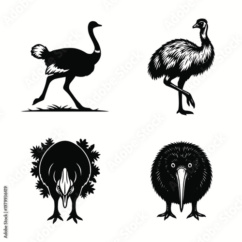 Stylized black and white vector illustration set of flightless birds: ostrich, emu, and kiwi birds.